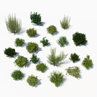 Preview of the Basic Bush Pack.