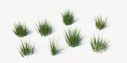 8 long grass models.